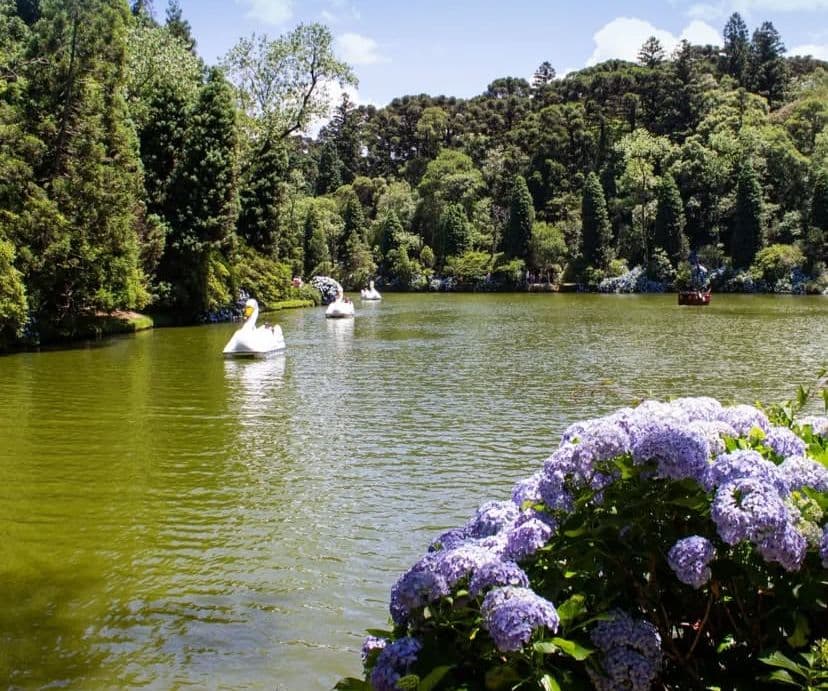 Gramado e Canela Privativo